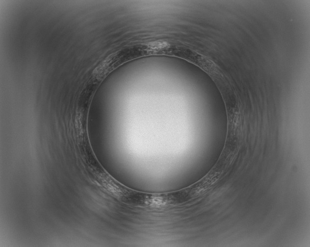 X0000056360565200509091626