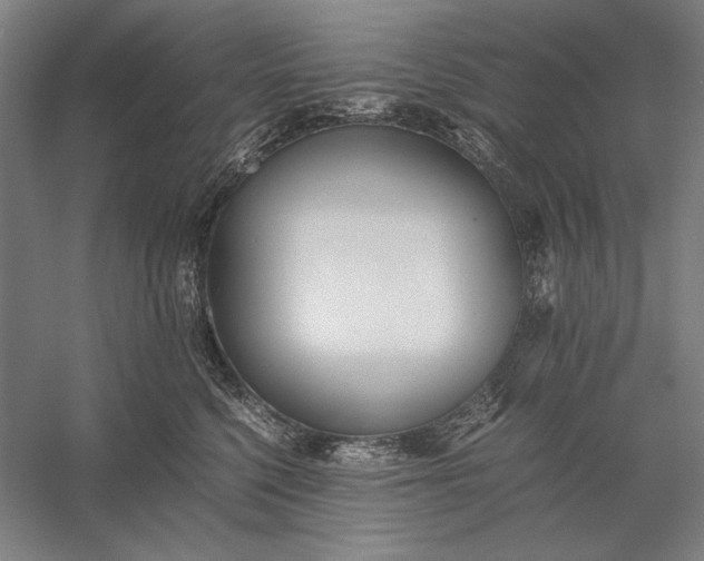 X0000056360568200509091626