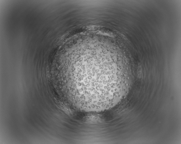 X0000056360569200509091626