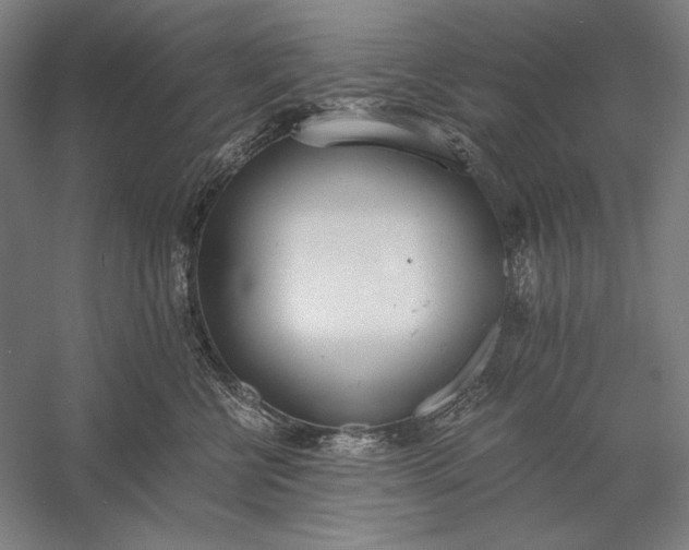 X0000056360570200509091626