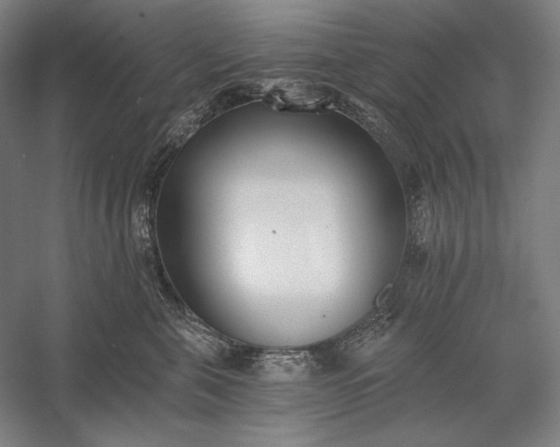 X0000056360571200509091626