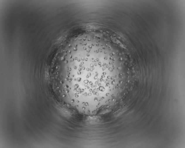 X0000056360573200509091626