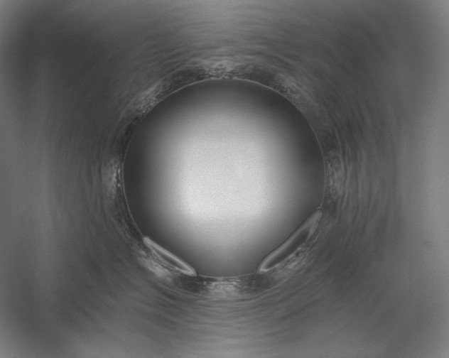 X0000056360574200509091626