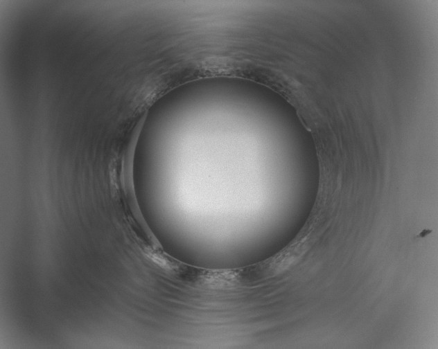 X0000056360576200509091626