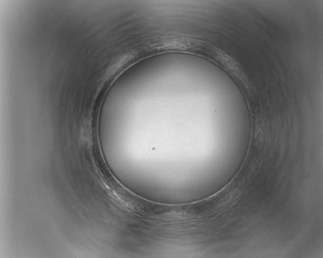 X0000056360578200509091625