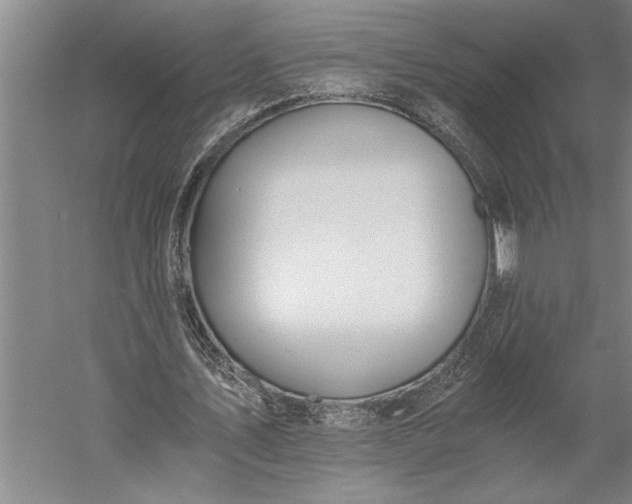 X0000056360579200509091625