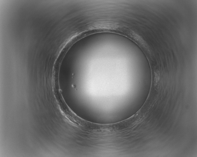 X0000056360580200509091625