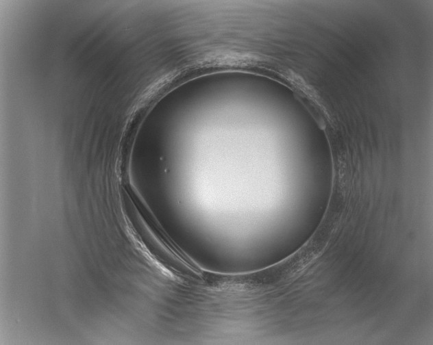 X0000056360581200509091625