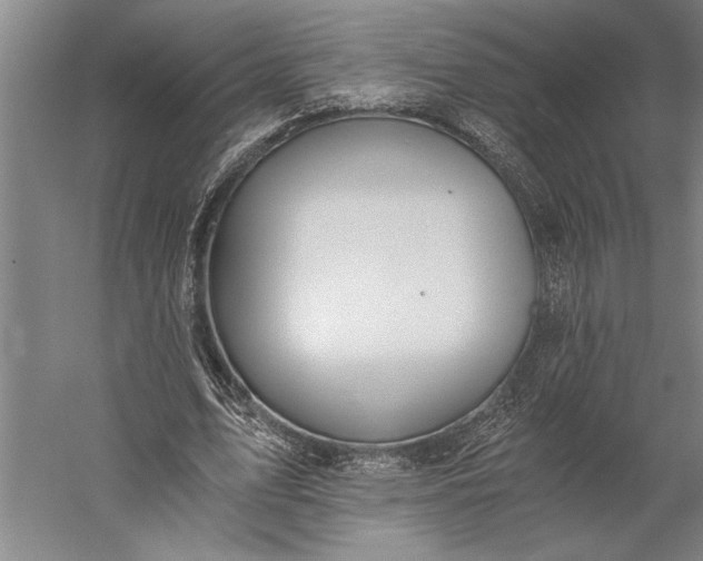 X0000056360583200509091625