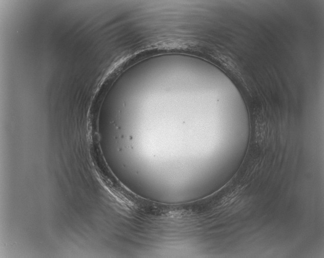 X0000056360584200509091625