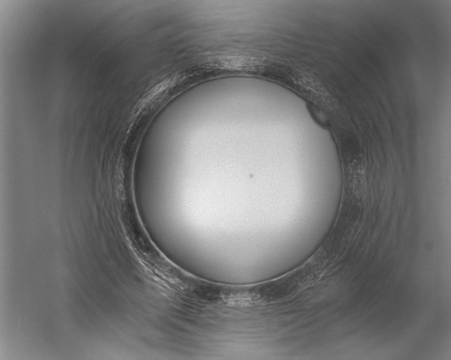 X0000056360587200509091625