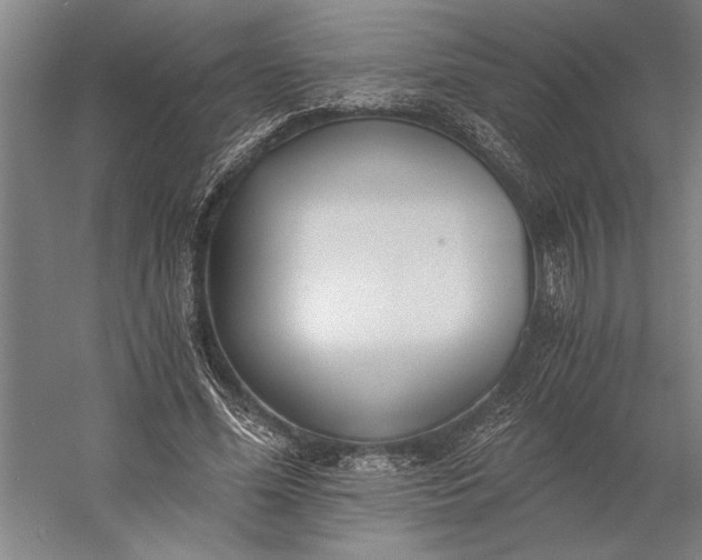 X0000056360588200509091625