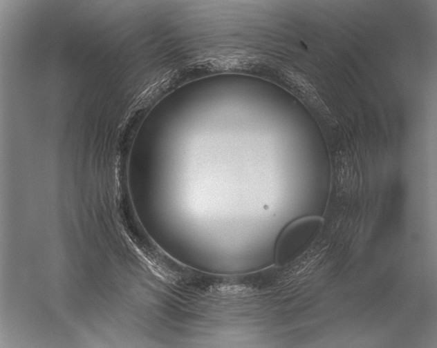 X0000056360590200509091625