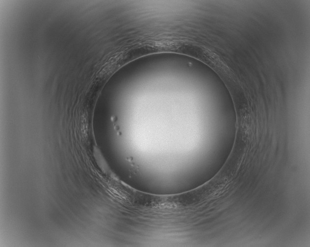 X0000056360593200509091625