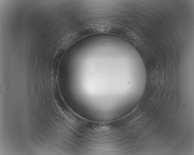 X0000056360594200509091625