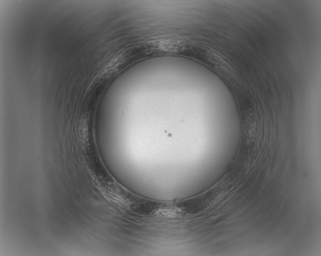 X0000056360595200509091625