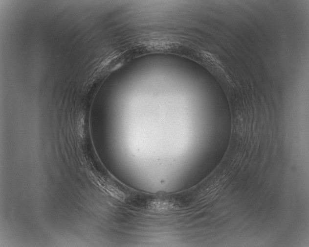 X0000056360596200509091625