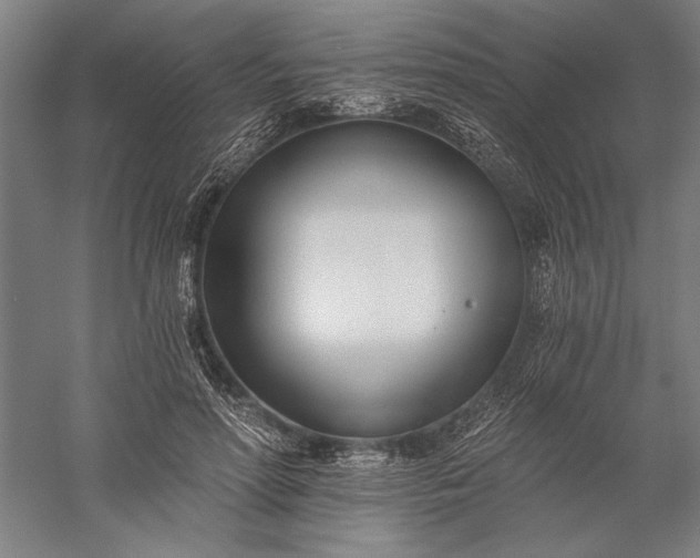 X0000056360598200509091625