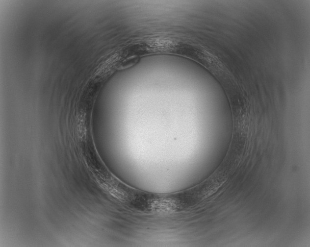 X0000056360599200509091625