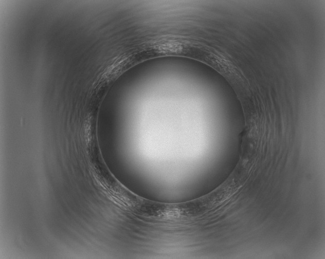 X0000056360600200509091625