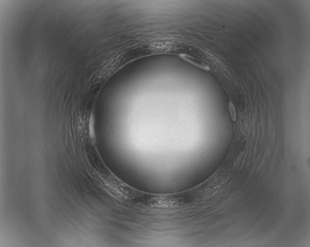 X0000056360601200509091624