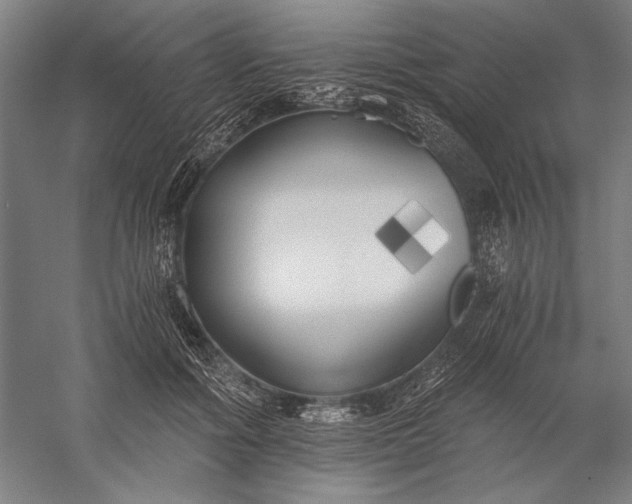 X0000056360602200509091624