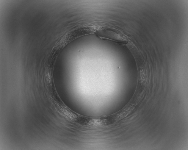 X0000056360613200509091624