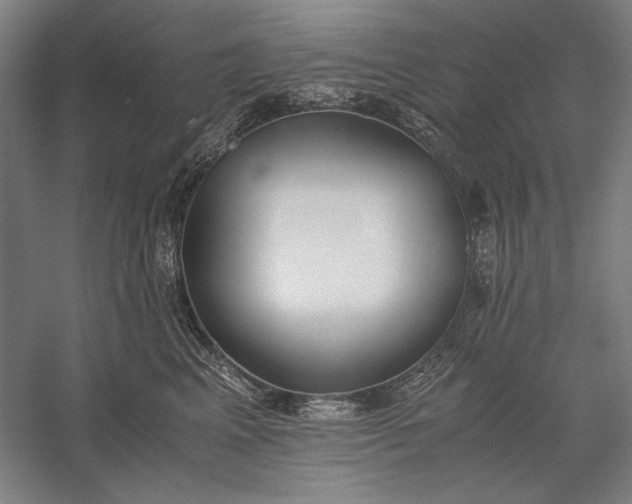 X0000056360617200509091624