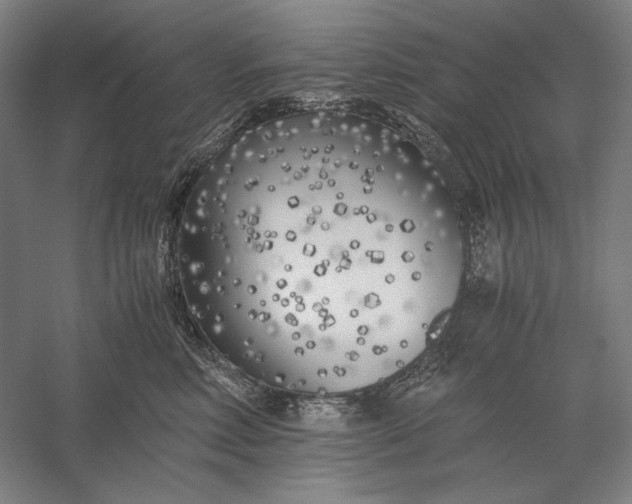 X0000056360618200509091624