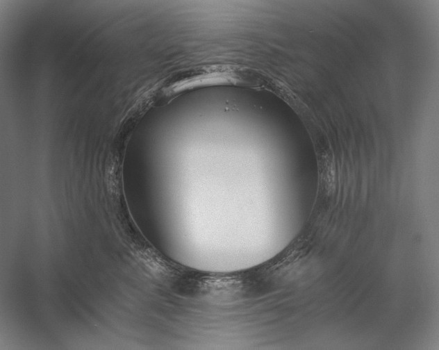 X0000056360619200509091624