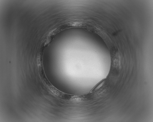 X0000056360620200509091624