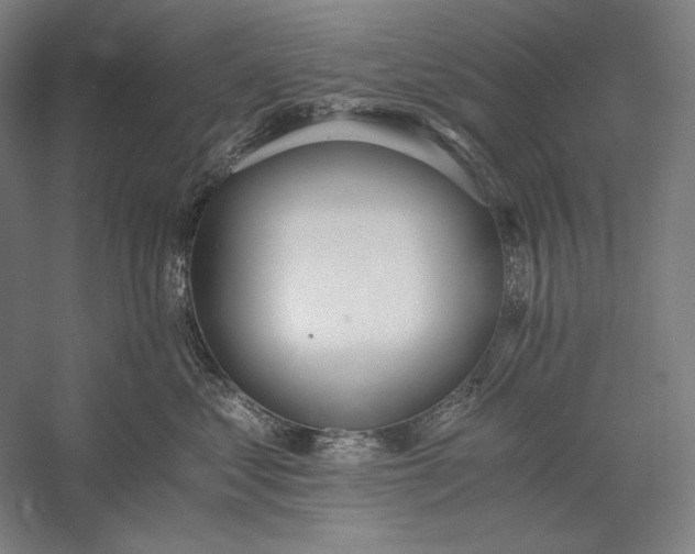 X0000056360621200509091624