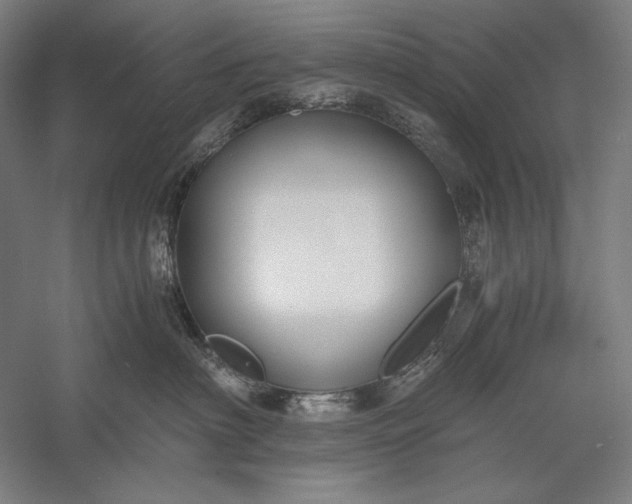 X0000056360622200509091624