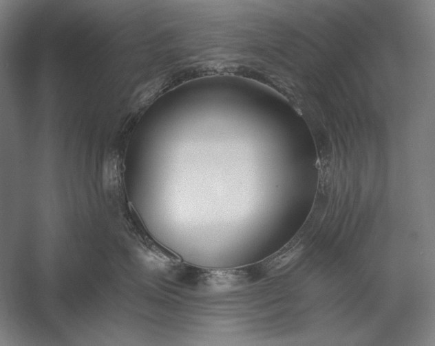 X0000056360623200509091624