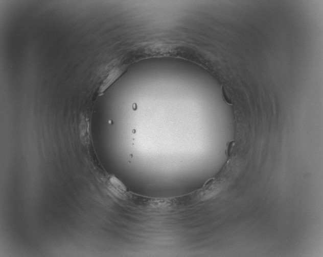 X0000056360624200509091624