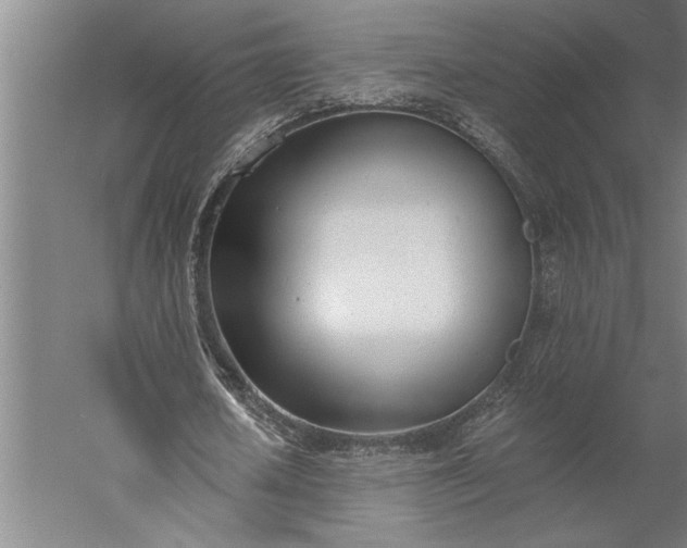 X0000056360626200509091623