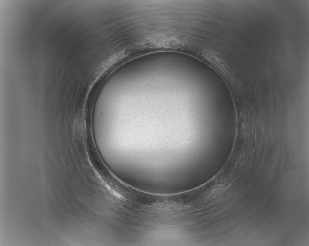 X0000056360630200509091623