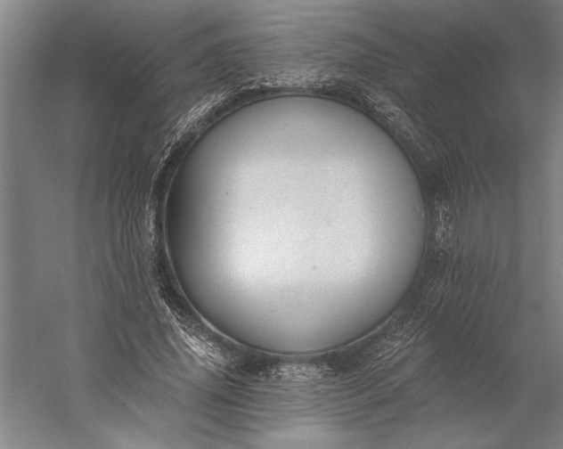 X0000056360636200509091623