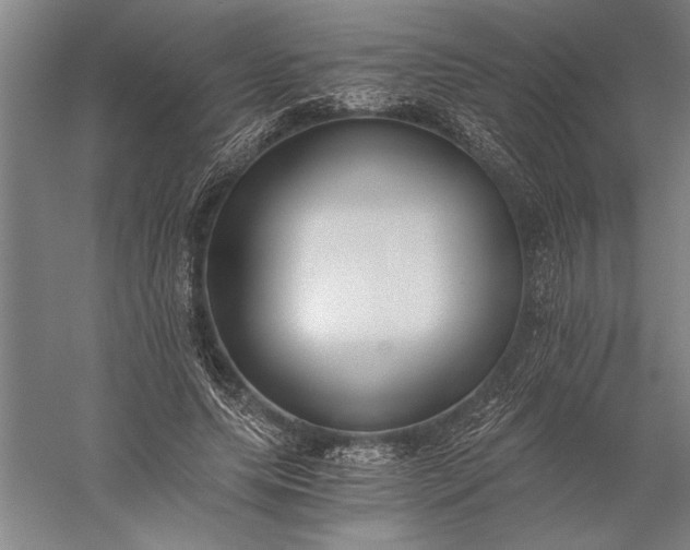 X0000056360639200509091624