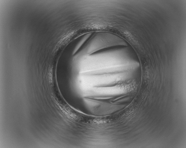 X0000056360640200509091624