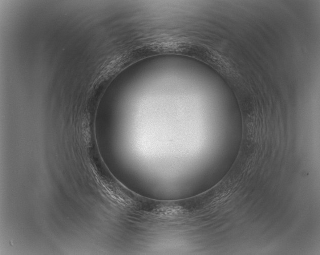 X0000056360642200509091624