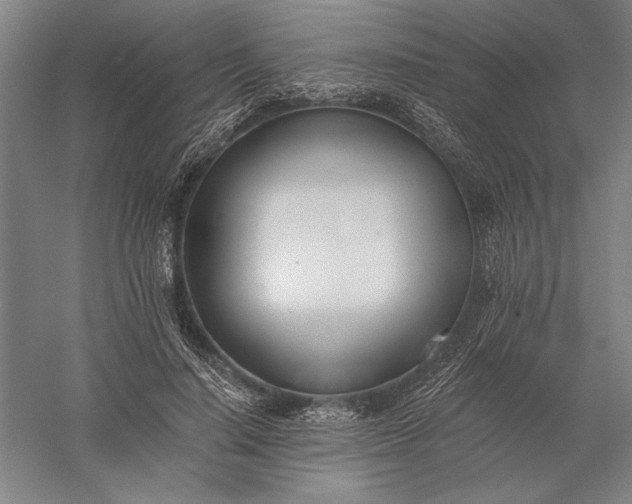 X0000056360644200509091624