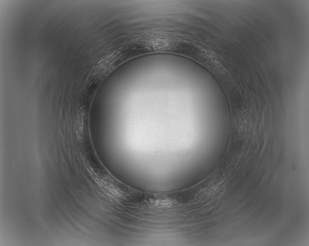 X0000056360645200509091624