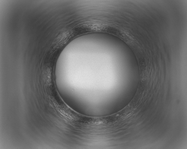 X0000056360646200509091624