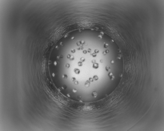 X0000056360647200509091624