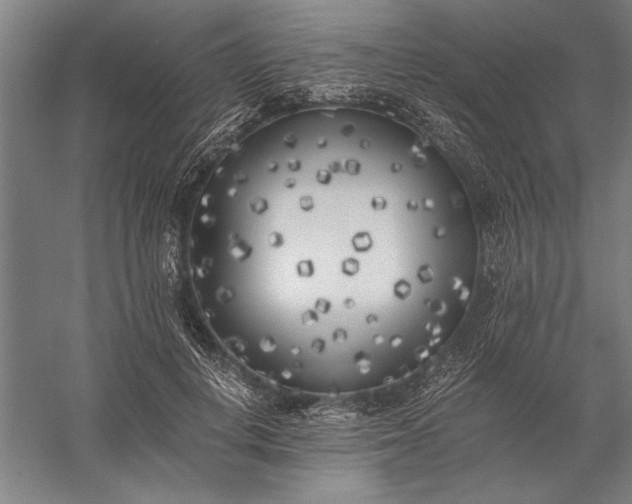 X0000056360648200509091624