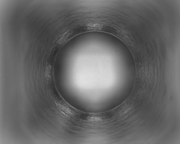 X0000056360649200509091624