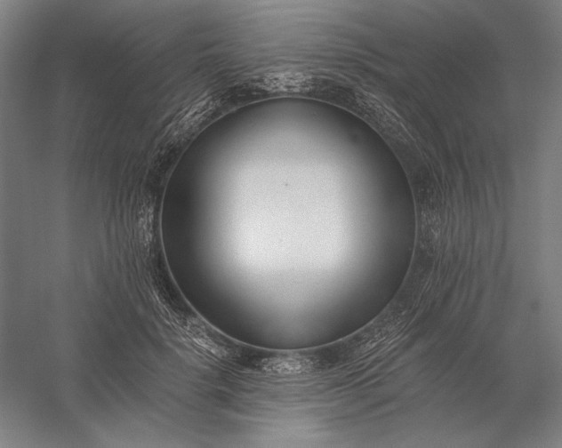 X0000056360652200509091624