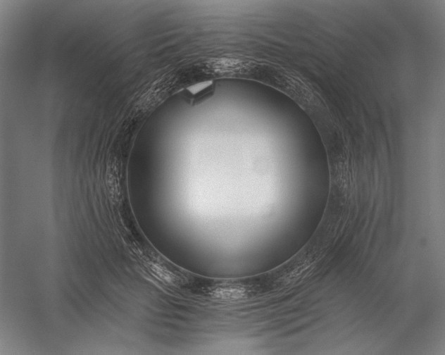 X0000056360653200509091624