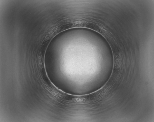 X0000056360654200509091624